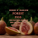 Load image into Gallery viewer, Forest Figs wax melt
