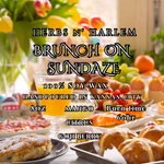 Load image into Gallery viewer, Brunch on Sundaze
