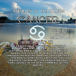 Load image into Gallery viewer, CANCER ZODIAC CANDLE
