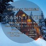 Load image into Gallery viewer, Cabin Fever
