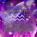 Load image into Gallery viewer, AQUARIUS ZODIAC CANDLE
